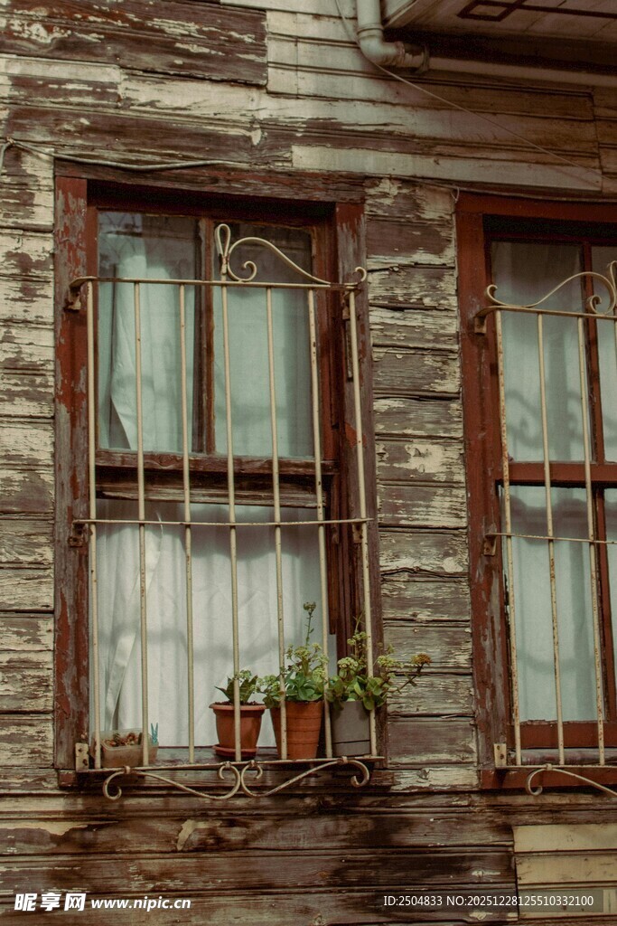 老旧木屋的窗边绿植风景