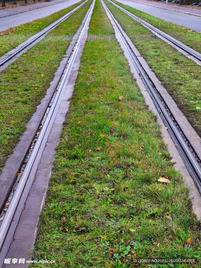 铁轨间的绿草生机盎然