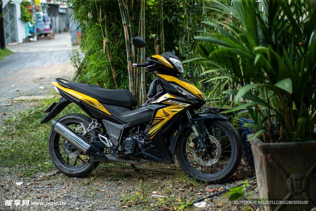 黄黑摩托车停于绿植旁