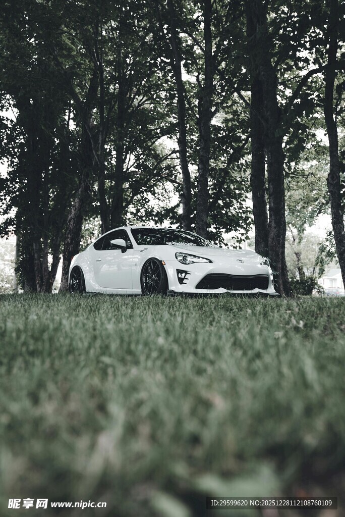 林间停放的白色酷炫跑车