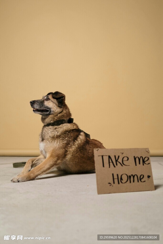 可爱狗狗旁的温馨留言板