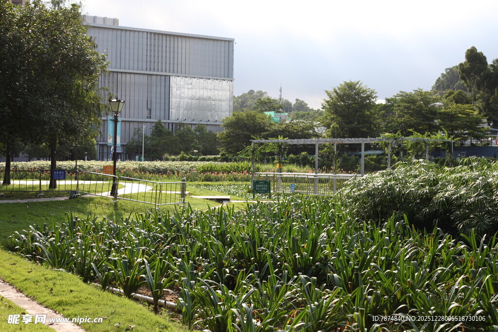 户外绿植环绕的建筑景观