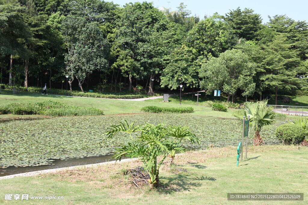 绿意盎然的户外园林景观