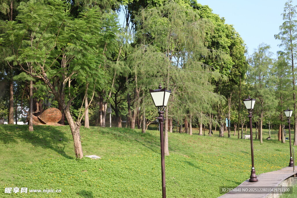 公园绿荫小道风景