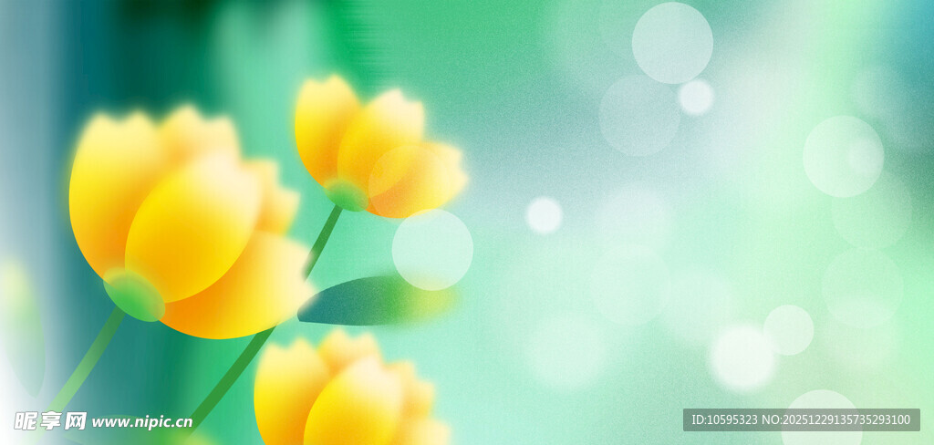 黄色郁金香绽放美景