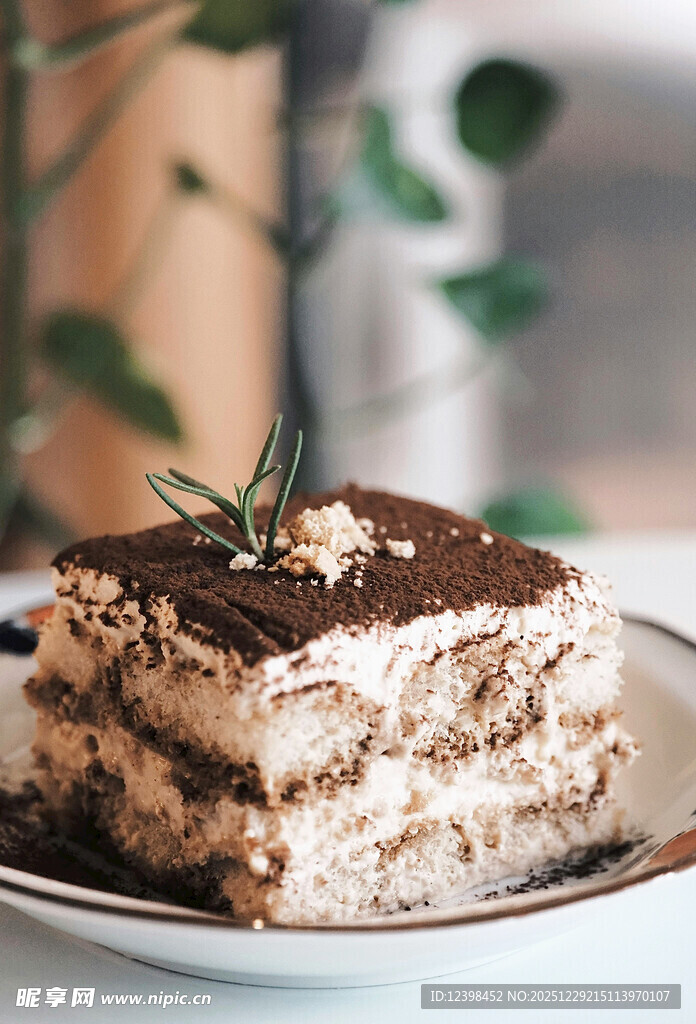 美味提拉米苏蛋糕特写