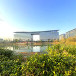 现代建筑旁的绿植景观