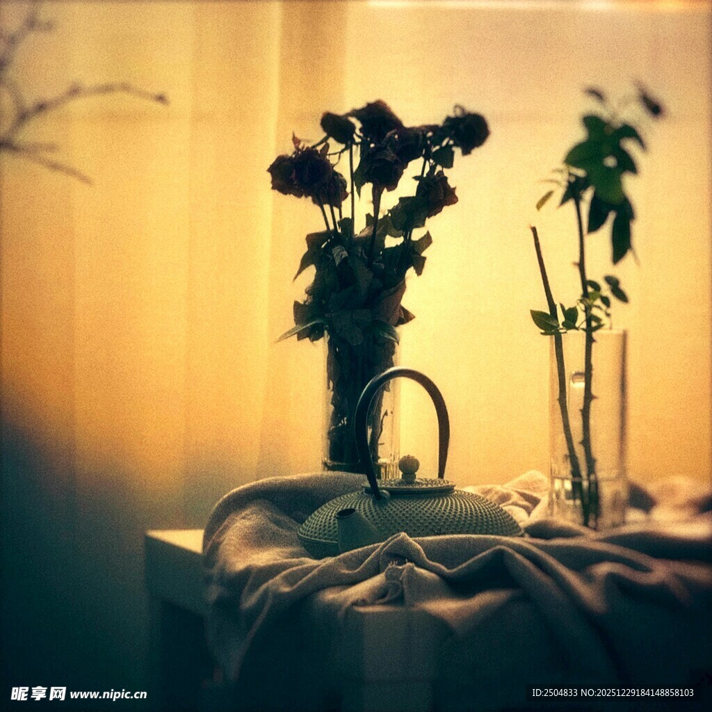 温馨室内的花瓶与绿植