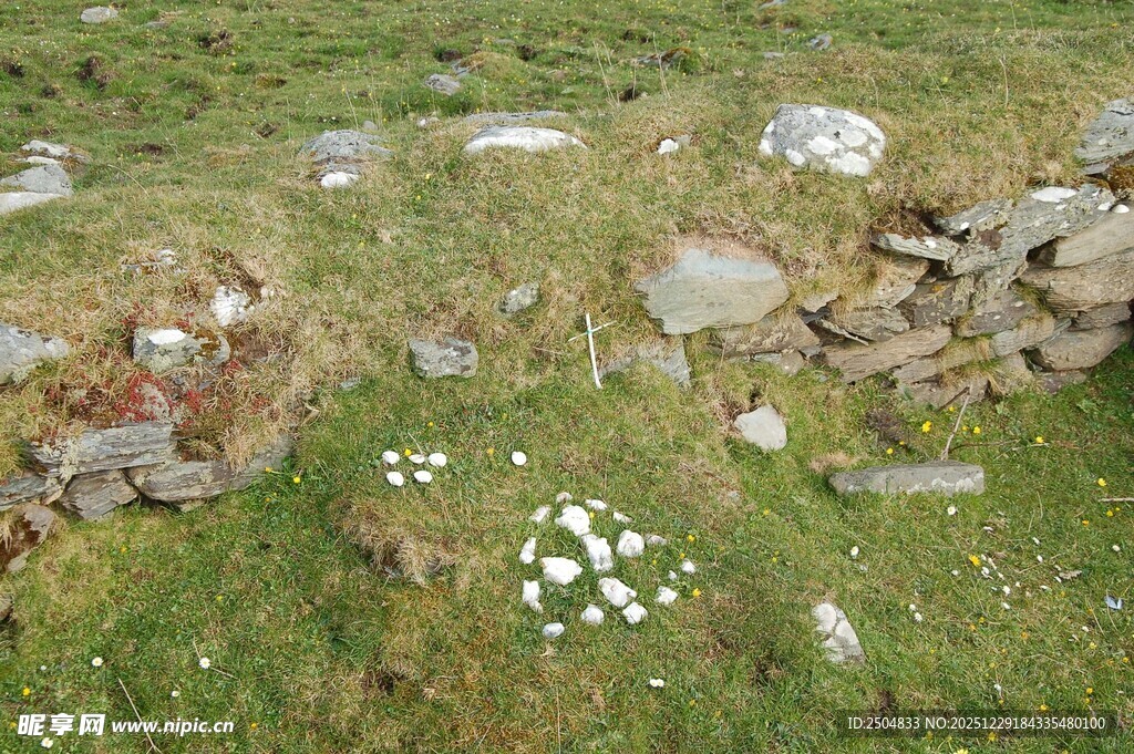 草地中的古老石堆遗迹