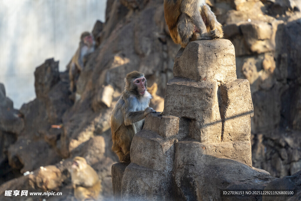 攀岩者挑战陡峭岩石景观