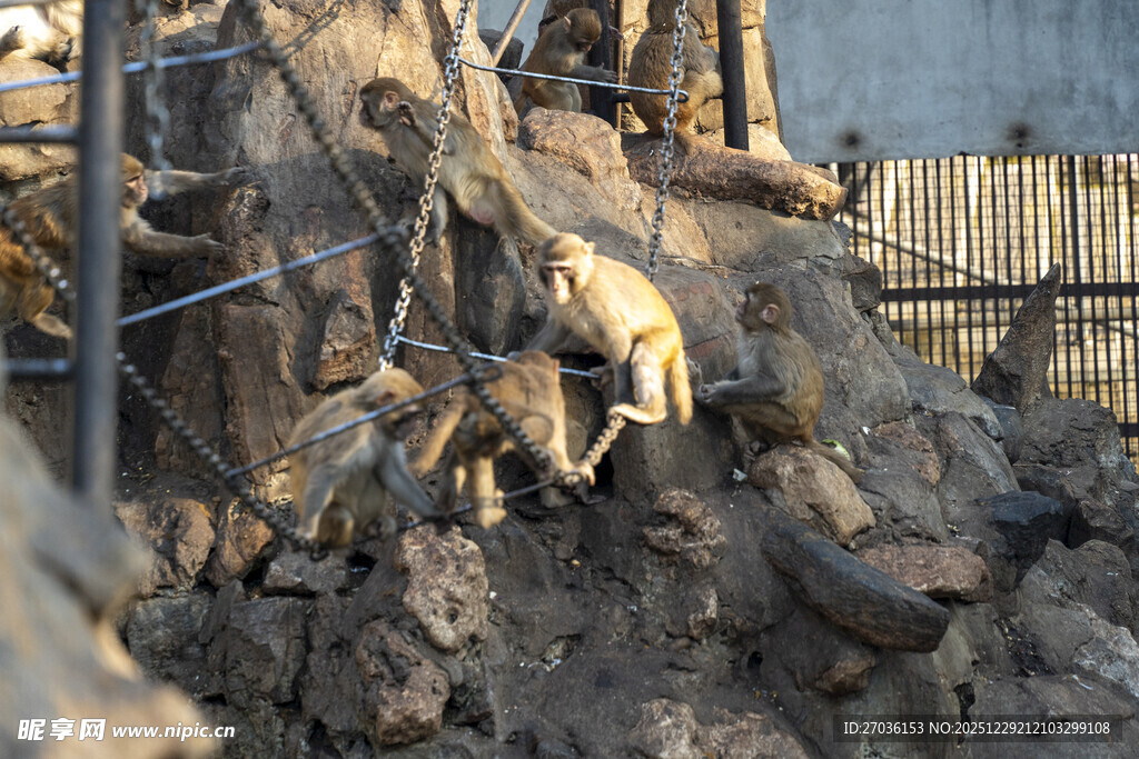 施工现场的挖掘机械作业