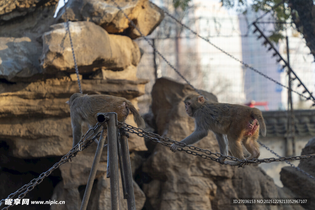 假山景观中的古朴雕塑