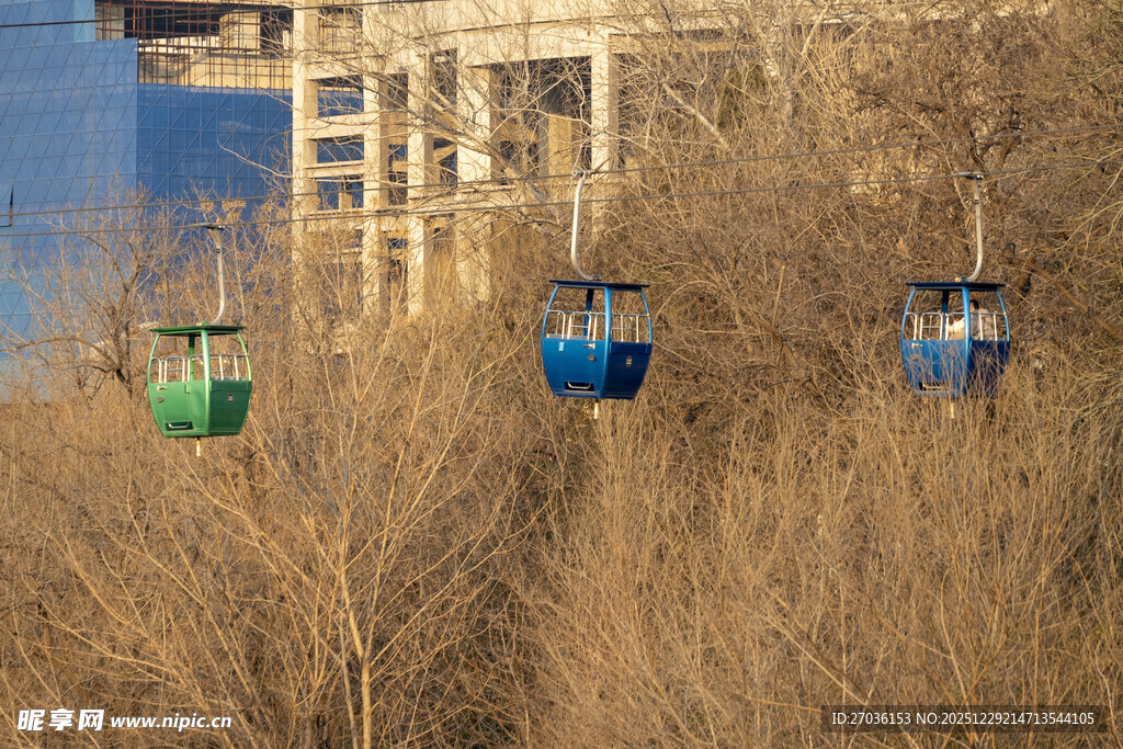 河畔缆车穿梭于枯树林间
