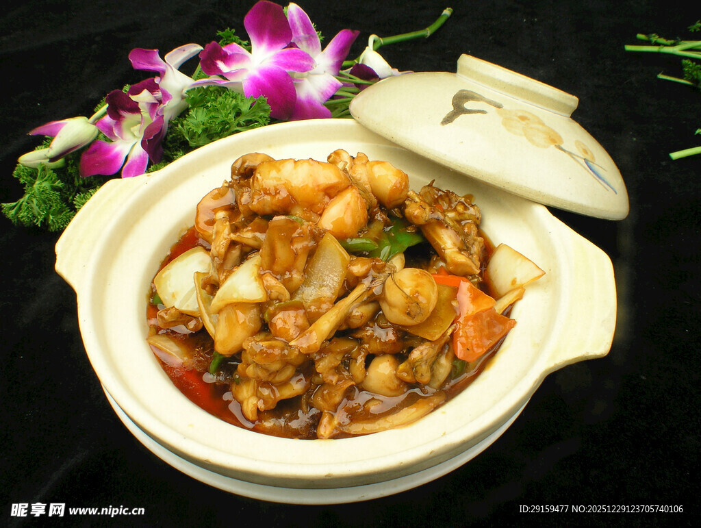 美味砂锅鸡肉煲