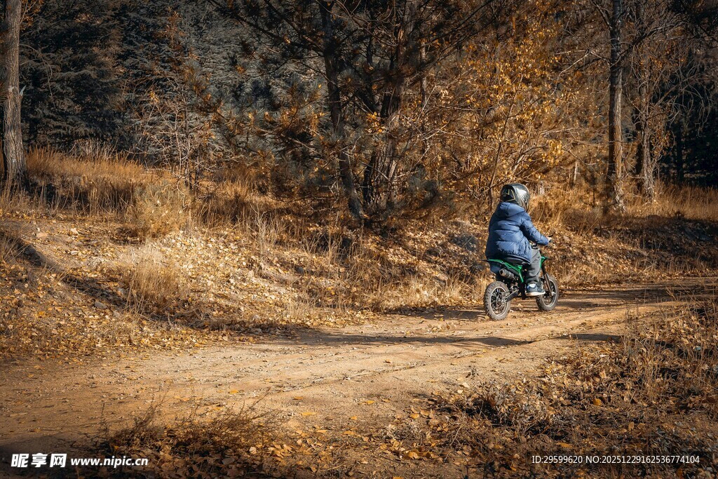 秋日骑行者穿行林间小道