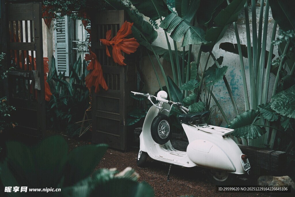 绿植环绕的复古白色踏板车