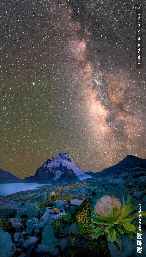 星空下的山野花卉美景