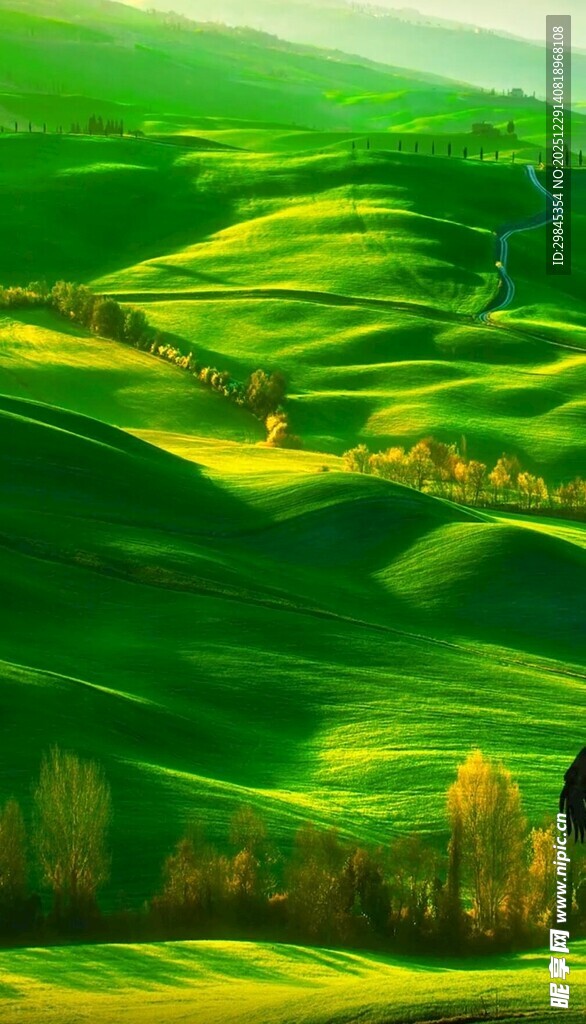 绿色田园风光美景