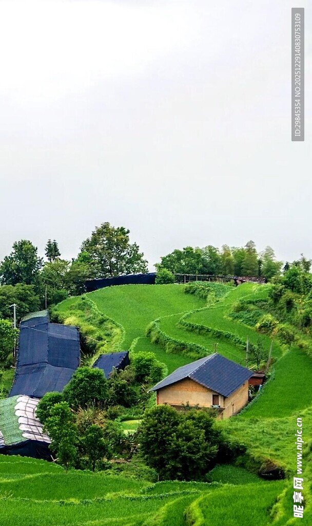 田园风光中的特色建筑