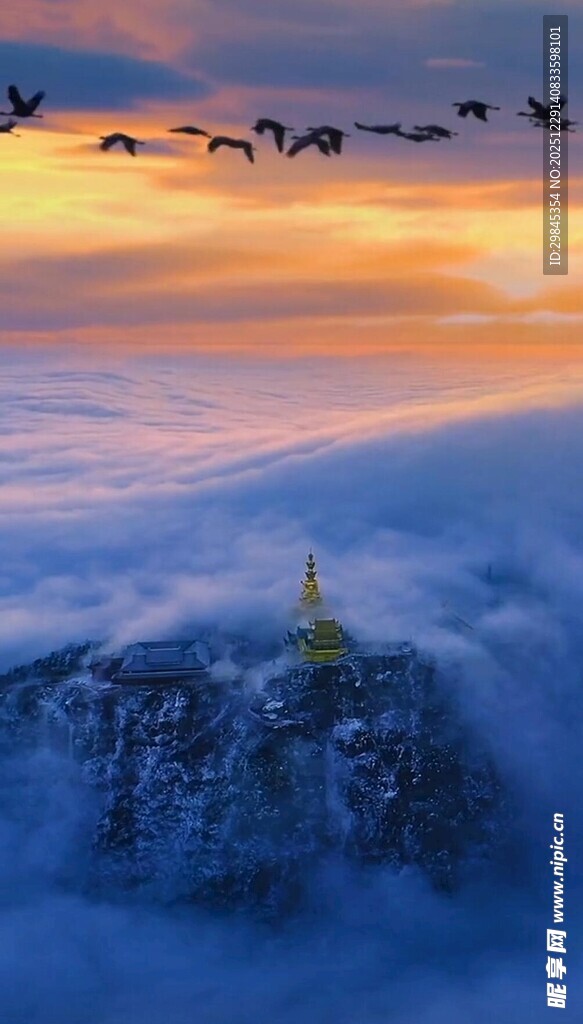 云海之上飞鸟伴夕阳美景