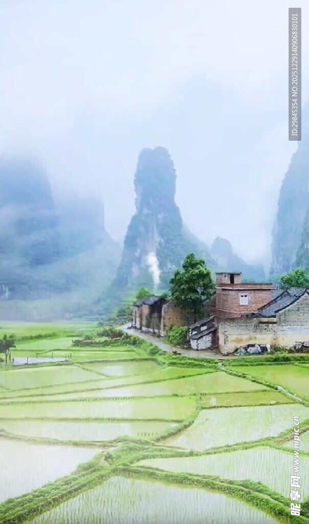 雾中田园美景