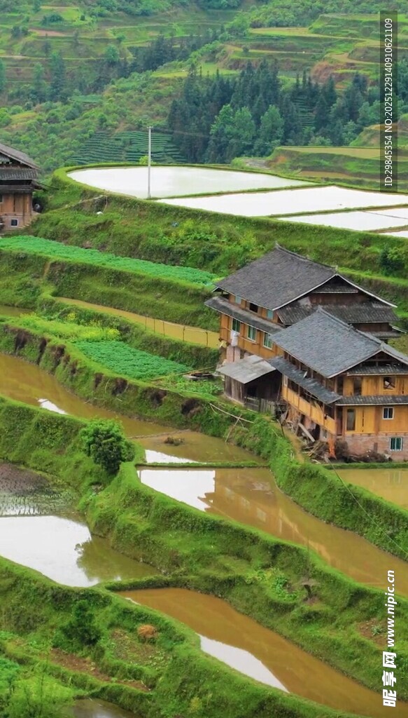 山间梯田旁的古朴民居