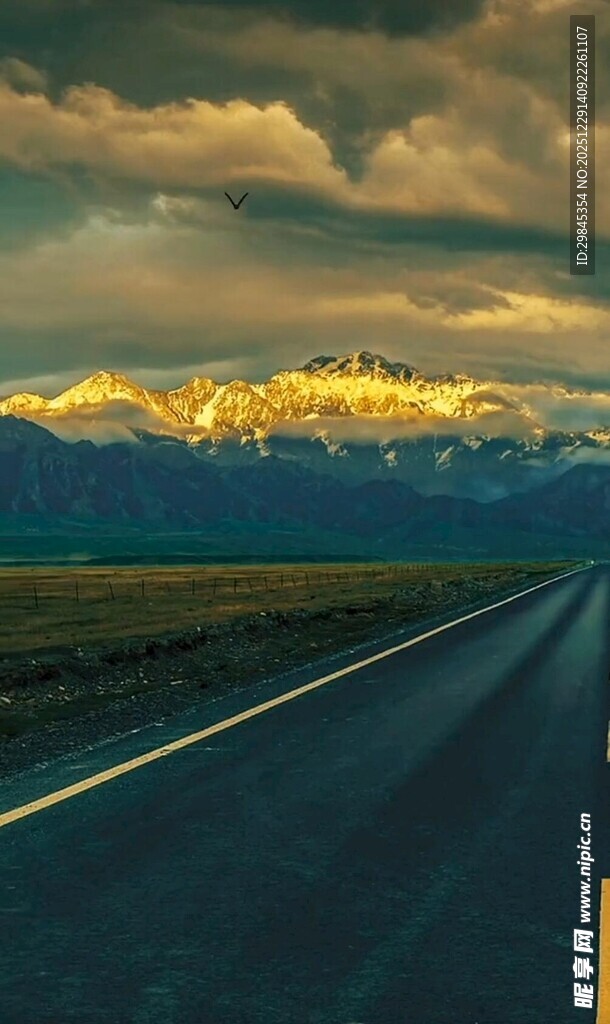 公路伸向远方的壮丽风景