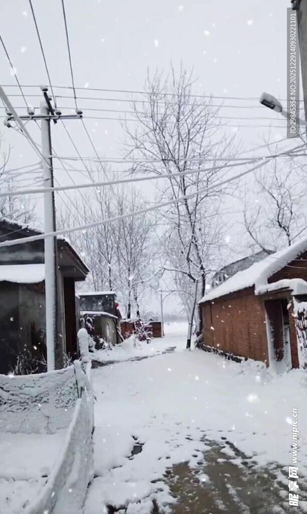 雪后乡村小道景象
