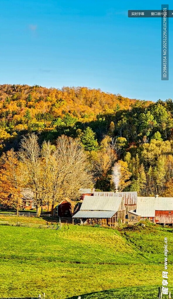 秋日乡村牧场美景