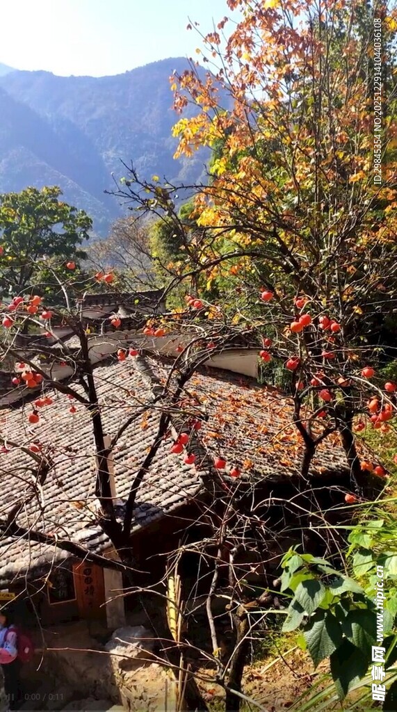 秋日山村古宅风景