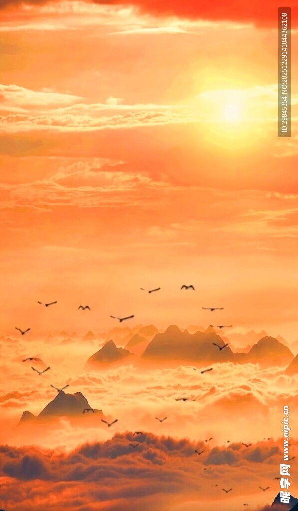 壮丽日出云海飞鸟景观