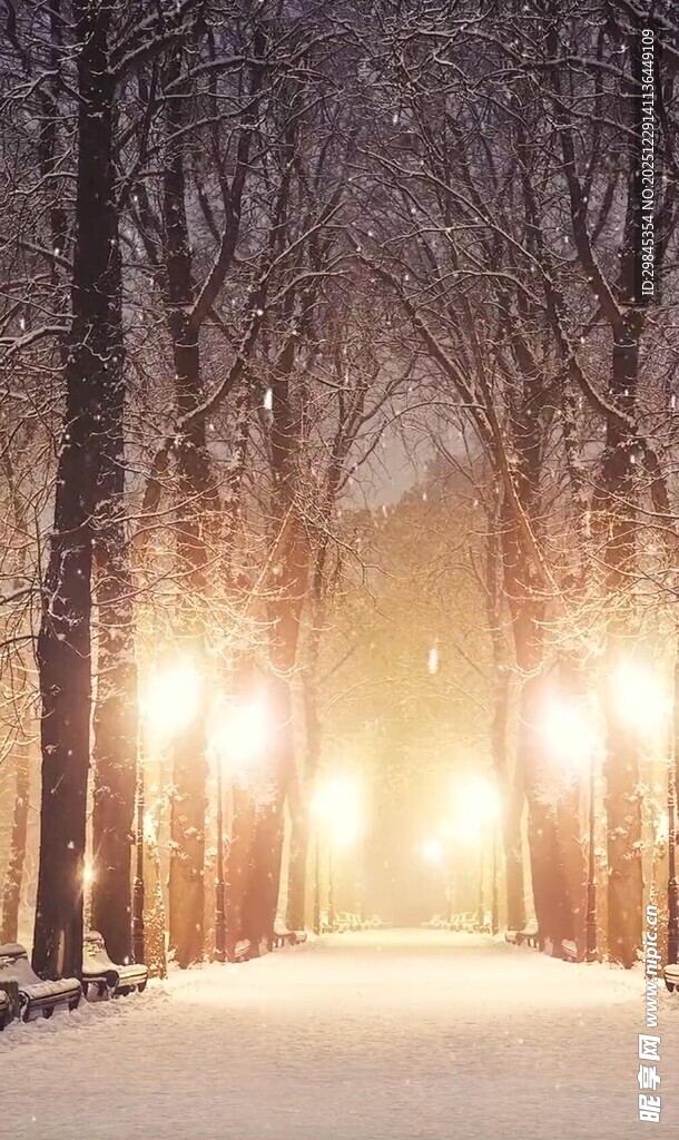 雪夜林间暖光静谧小道