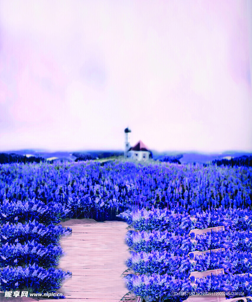 梦幻蓝花田中的孤独身影