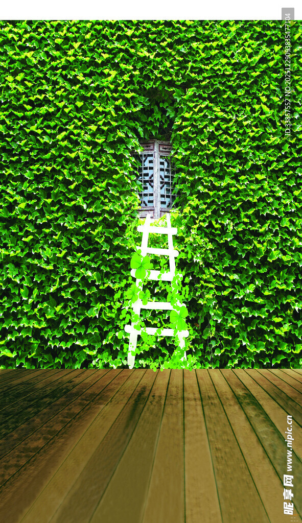 绿植墙中的梦幻发光阶梯