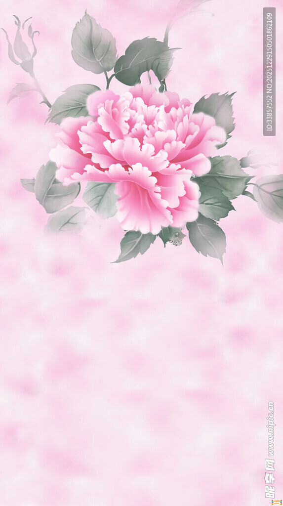 粉色牡丹花背景图