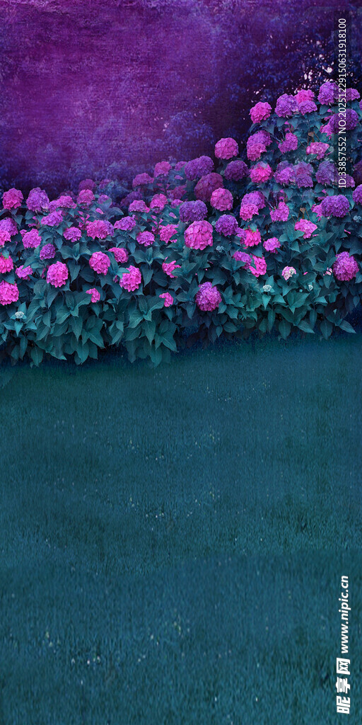 紫色花丛中的美丽景致