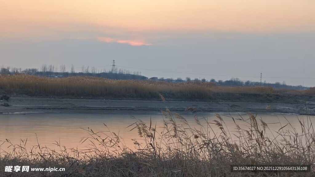 黄昏湖畔芦苇美景