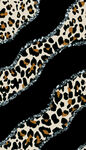 豹纹图案时尚野性纹理