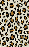 豹纹图案背景纹理
