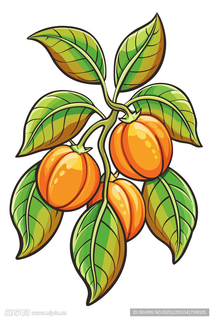 枝头黄杏绿叶相伴