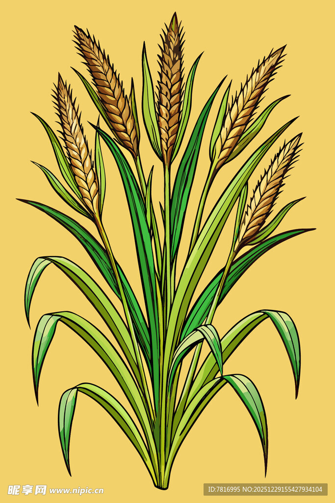 金黄背景下的绿色麦穗植物