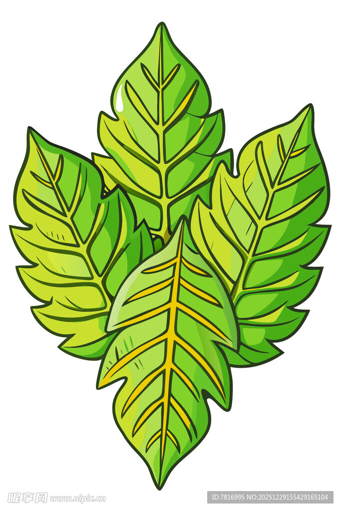 手绘绿色叶片插画