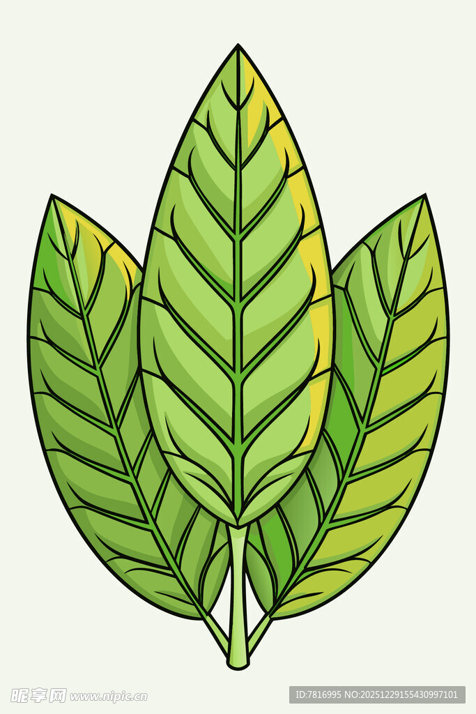 三片绿叶插画