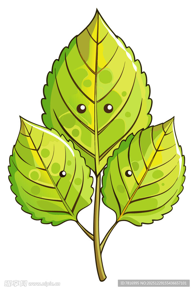 可爱表情的三片绿叶