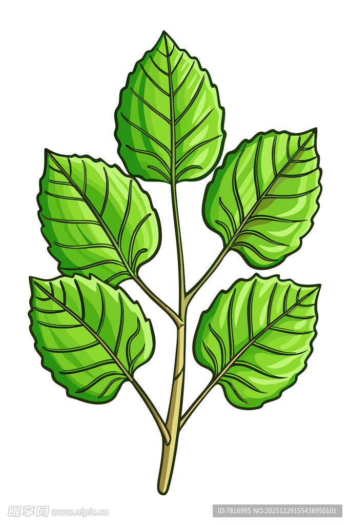 嫩绿叶片植物枝丫图