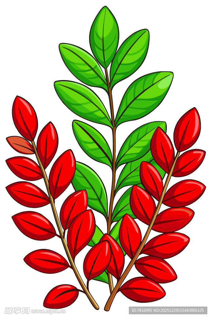 红绿相间的植物枝叶