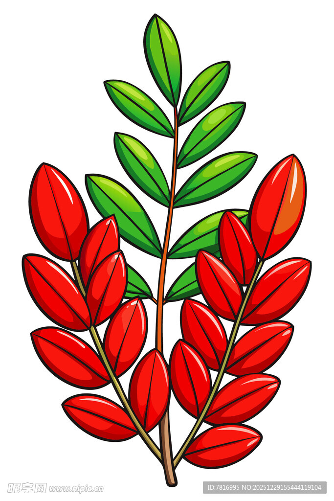 红色绿叶植物插画