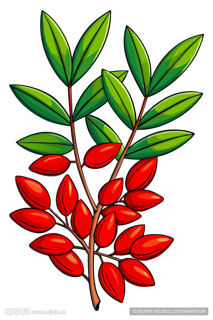 红果绿叶植物插画