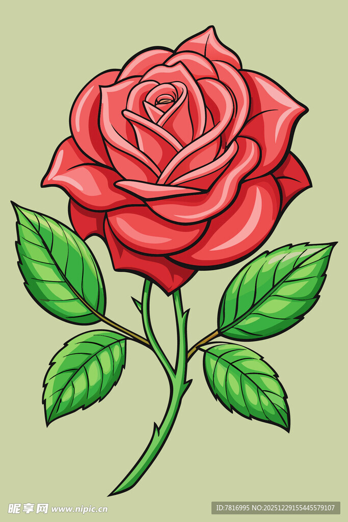 手绘红玫瑰插画