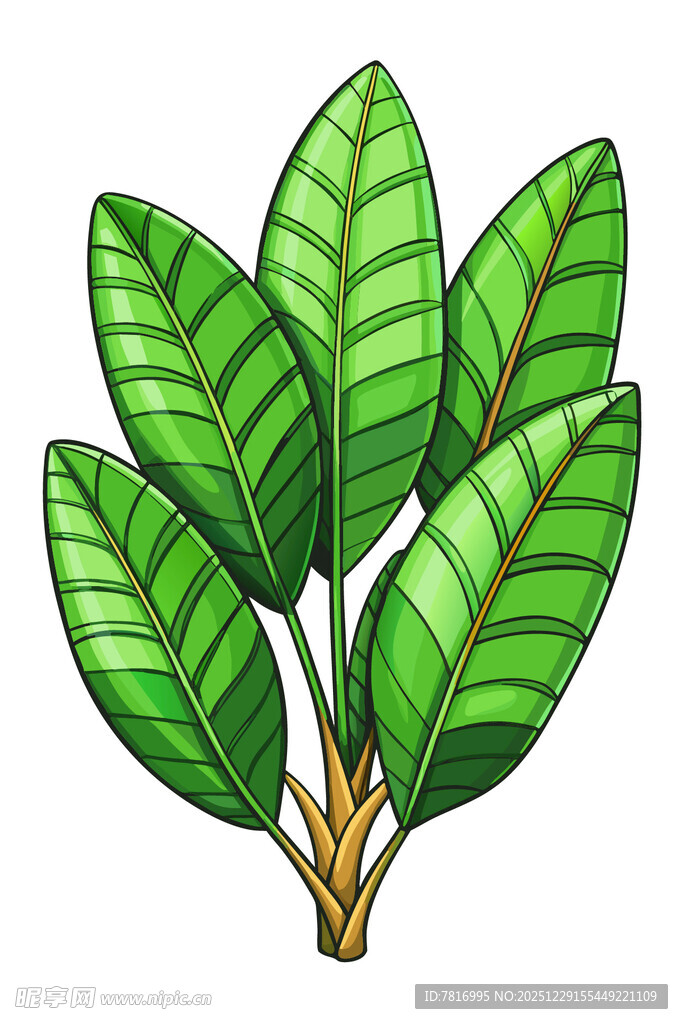 手绘绿色叶片植物插画